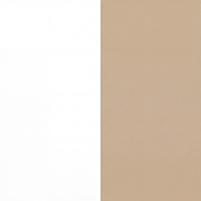 Automatic Litter Box