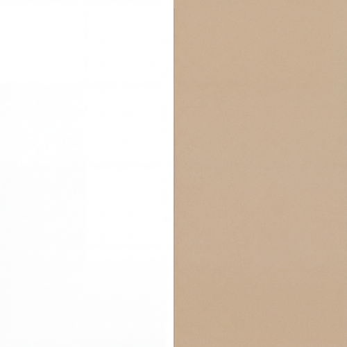 Automatic Litter Box