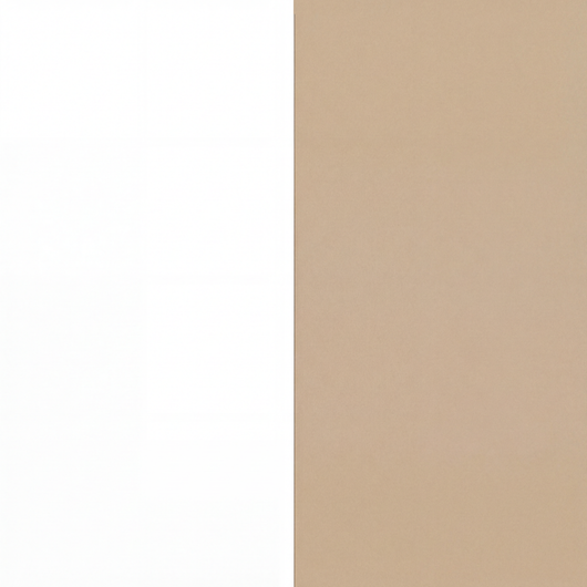 Automatic Litter Box