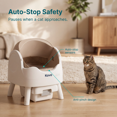 Automatic Litter Box