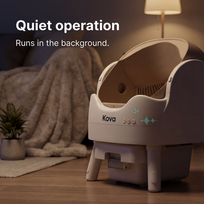 Automatic Litter Box