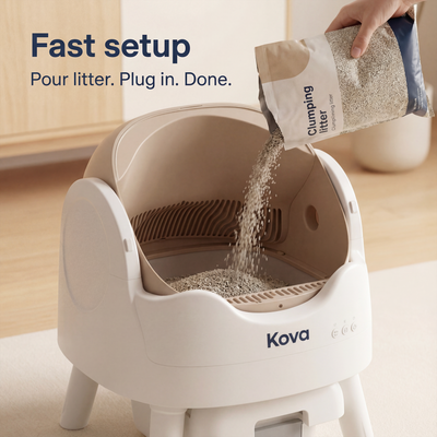 Automatic Litter Box